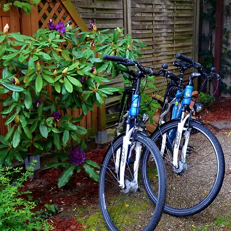 Astralis Domizil Szálloda 4*