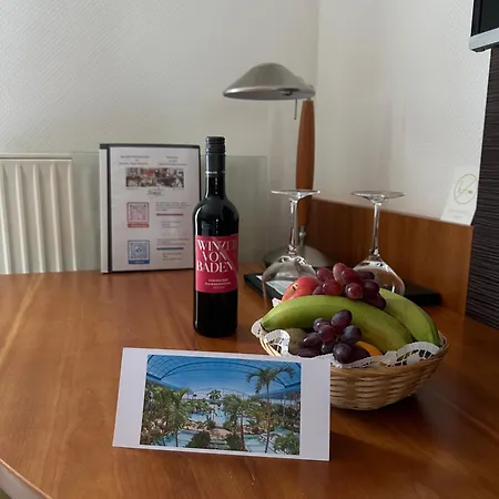 酒店 杜密兹尔奥斯特里斯酒店 4*