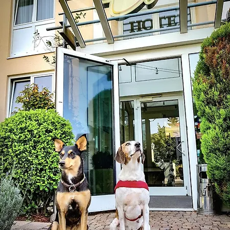 فندق Astralis Domizil فالدورف