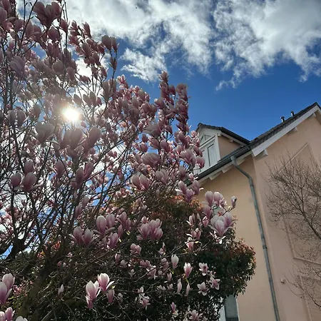 酒店 杜密兹尔奥斯特里斯酒店