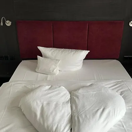 杜密兹尔奥斯特里斯酒店 4*