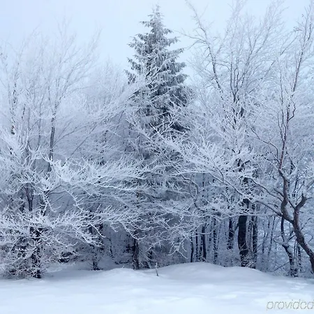 Szálloda Astralis Domizil